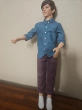Hasbro One Direction Liam Payne Singing Doll 2011 1D Concert Collection, 12"
