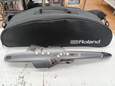 ROLAND Aerophone AE-10 from Japan 761294507339| eBay