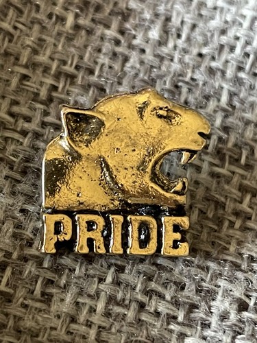 Vintage Rare University Of Pittsburgh Pitt Panther Pride Pin Gold Tone ...