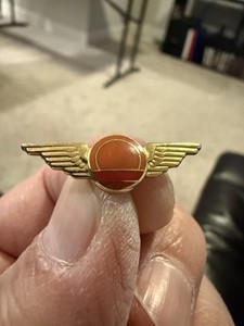 Vintage Horizon (Alaska) Airlines Service Pin 10K gf