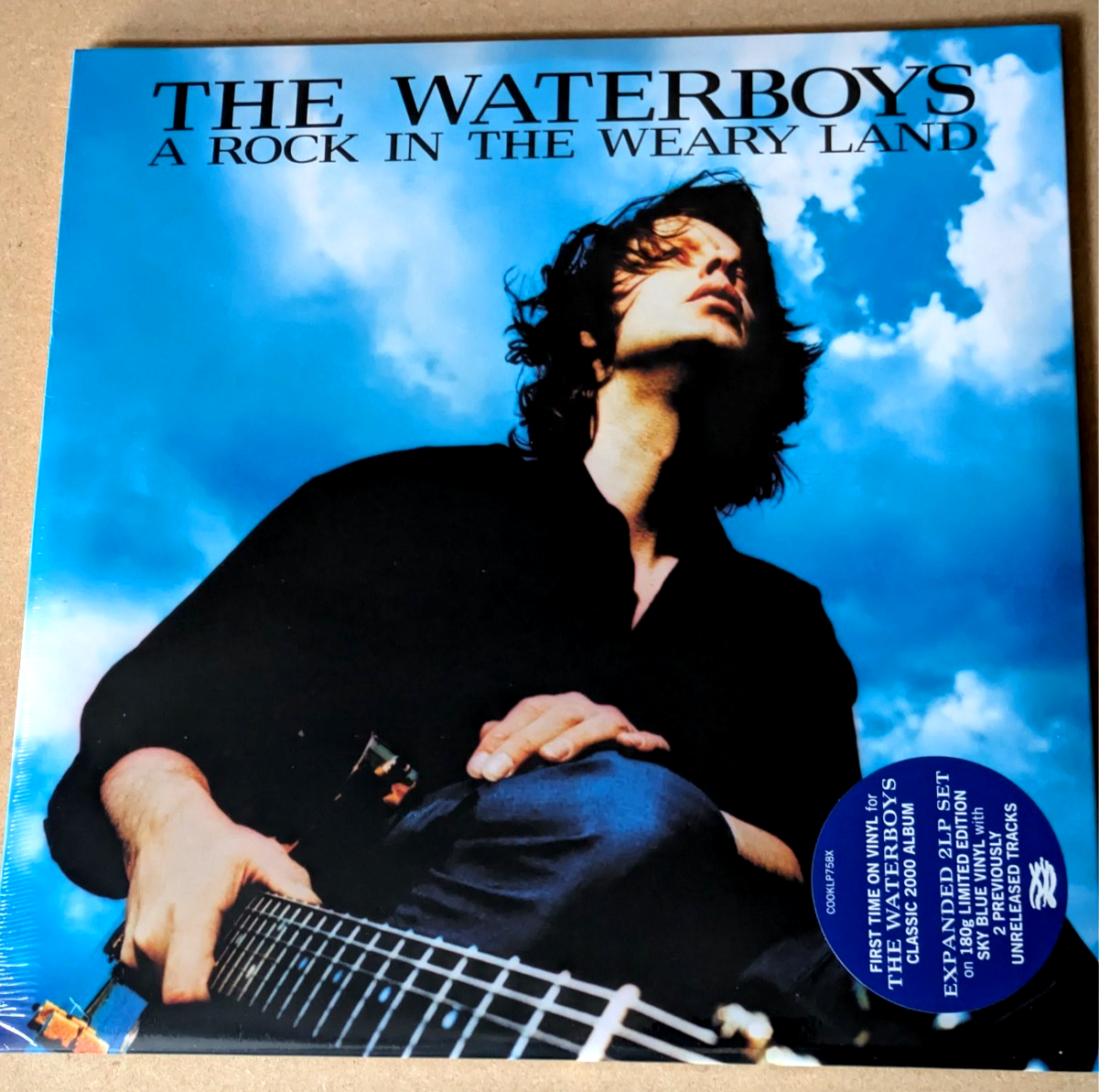 The Waterboys - A Rock In The Weary Land - 2 x LP 180g Vinyl New Sealed