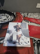 Sausage Dog Fun Canvas 41cm × 35cm