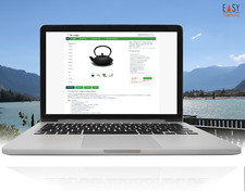 eBay Vorlage 2026 Auktion Easy-Template Design gr&uuml;n mit HTTPS inkl. free Editor