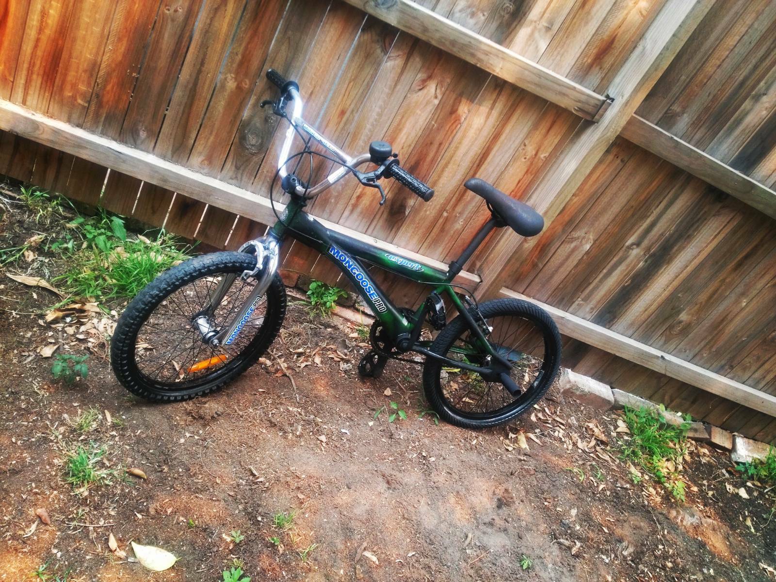 mongoose expert comp