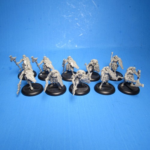 Warmachine Retribution of Scyrah Houseguard Halberdiers x10 i03