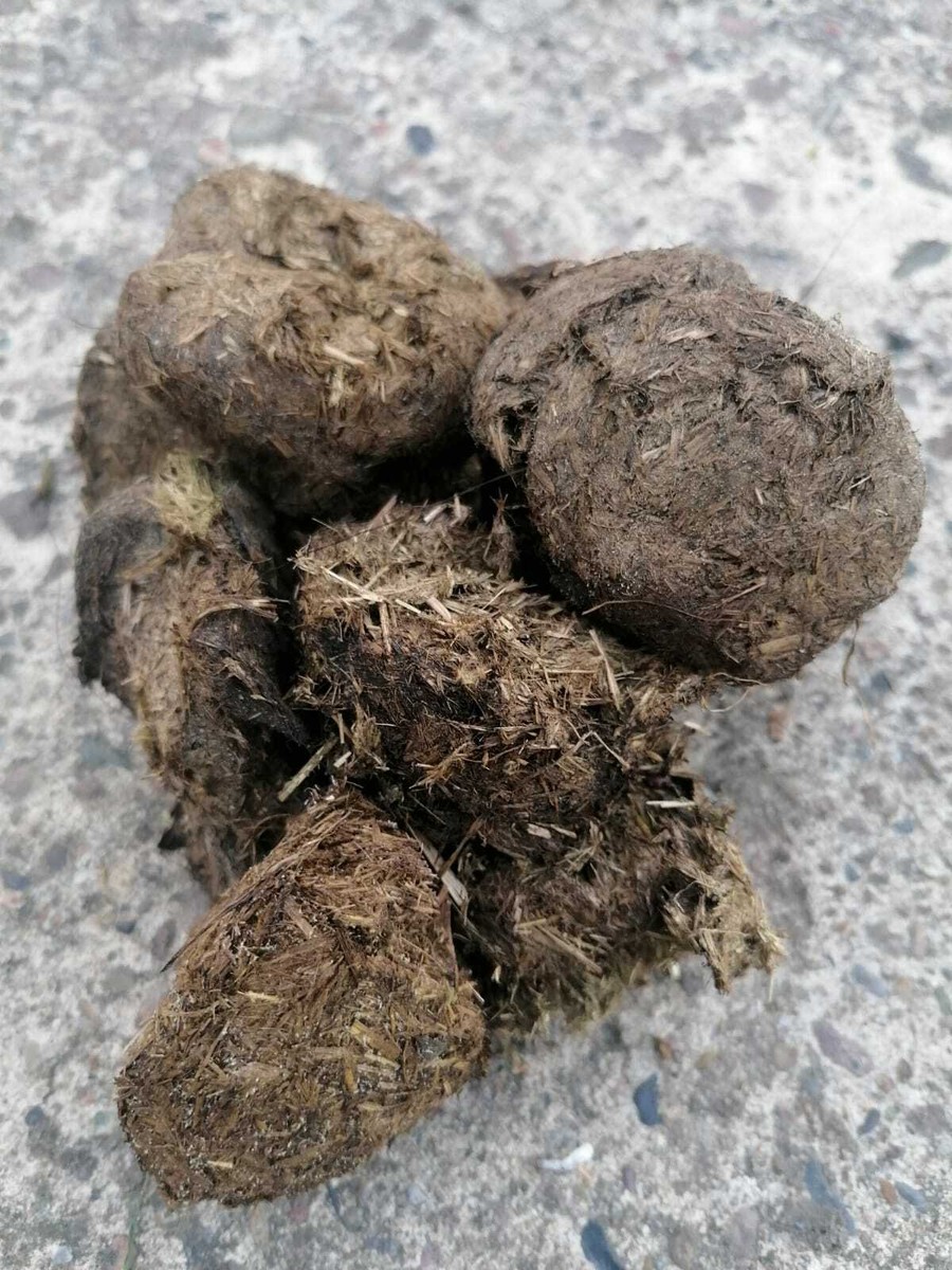 Pferdedung pfel abgelagert Naturdnger Gurke Tomate Salat Hochbeet Bio  Dnger | eBay.de