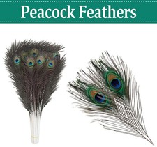 10–100x Natural Long Peacock Tail Feathers Craft Millinery Wedding Bouquet Decor