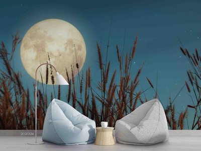 3D Wild Grass Full Moon Night Scene Wall Murals Wallpaper Murals Wall Sticker