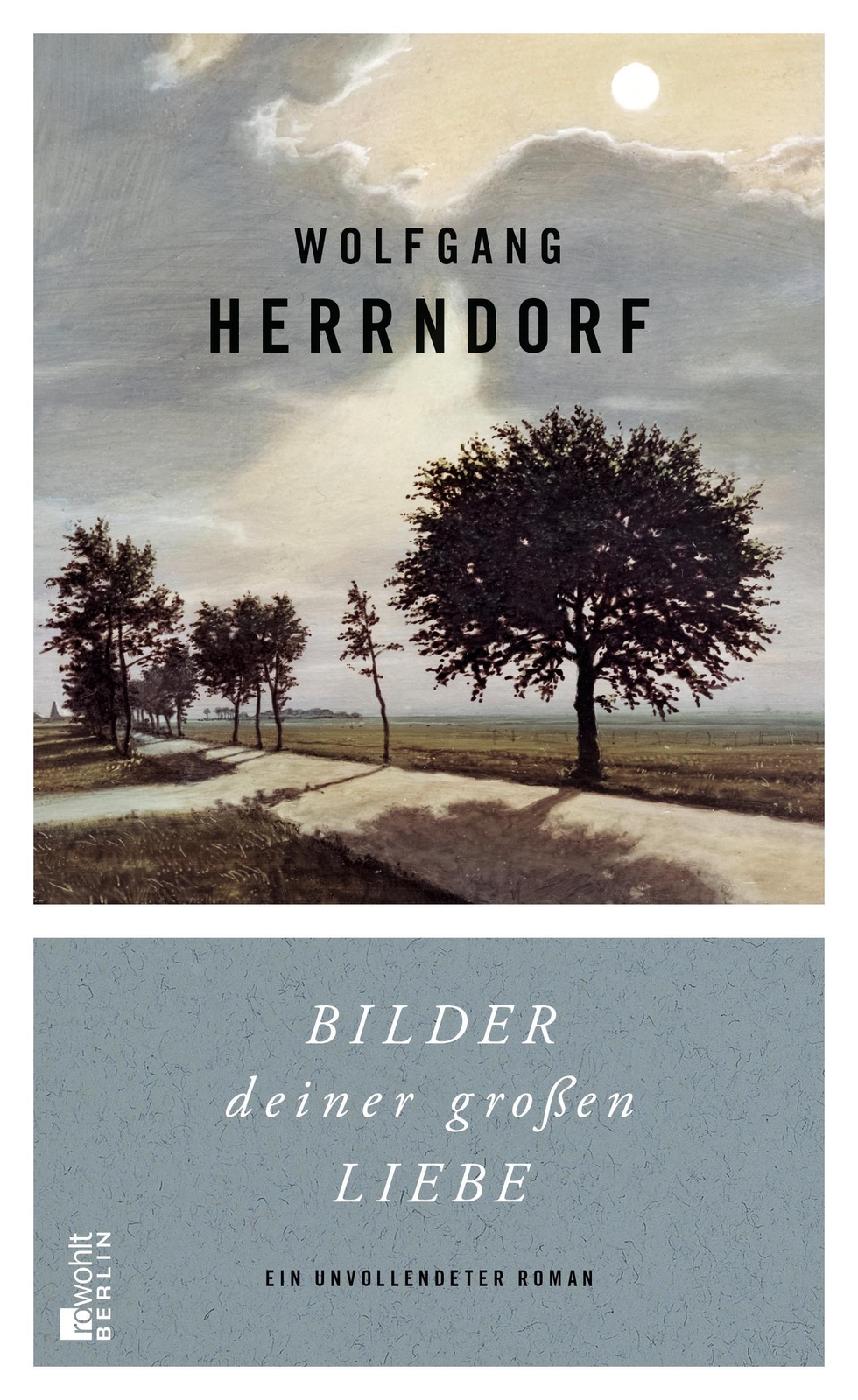 Thumbnail - Wolfgang Herrndorf | Bilder Deiner Großen Liebe | Buch | Deutsch