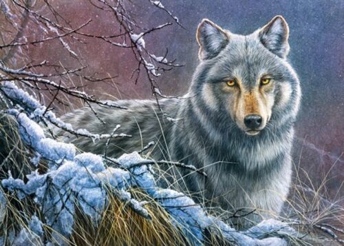 Cherry Pazzi Grey Wolf 1000 piece jigsaw puzzle - Picture 1 of 1