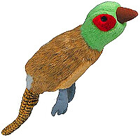 Medium migrator pheasant (784369377132)