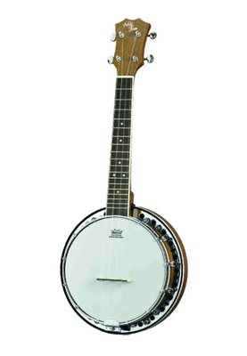 Ukulelenbanjo Banjo Ukulele Eddy Finn