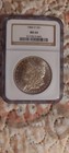 1884-O Morgan Dollar S$1 NGC MS64 — photo 1