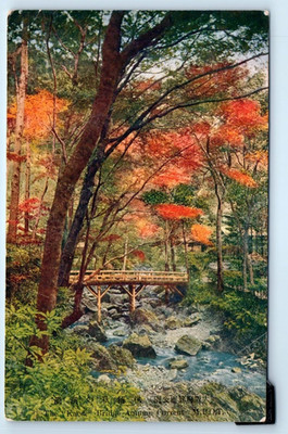 Kaede Bridge in Autumn - JAPAN Postcard