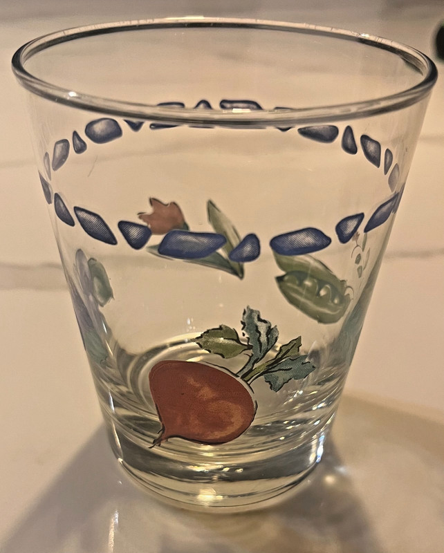 Pfaltzgraff Drinking Glass - Summer Garden - 14oz - Water Glass - Retired Glass