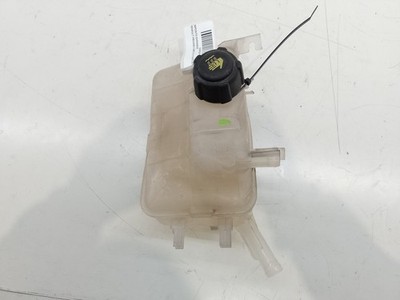 217100005R ERWEITERUNGSKAUTION FÜR RENAULT MEGANE III BERLINA 5 P DYNAM 10491447