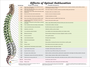 Chiropractic Vertebrae Chart