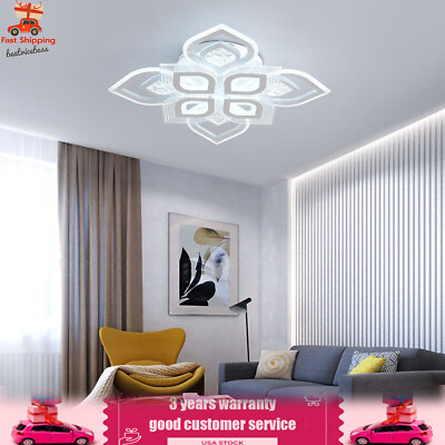 Modern Acrylic Flush Mount Lamp Fixture Living Room LED Ceiling Light Chandelier
