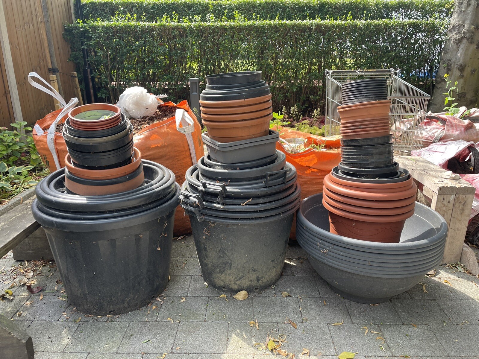 Large Tree Planters/Pots
