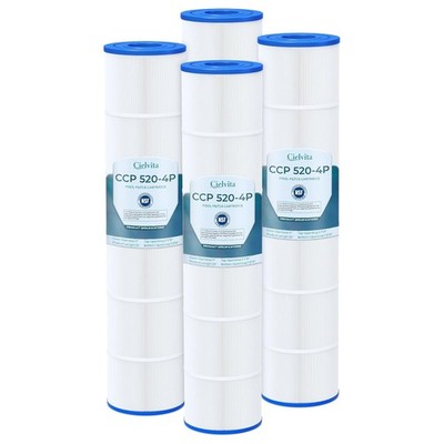 Pentair Clean & Clear CCP520 Filter Replacement 4 oz Media Pool Cartridge
