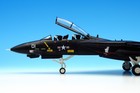 Century Wings Grumman F-14A Tomcat USN VX-4 Vandy 1/Black Bunny, 1/72, CW-001642 — photo 7