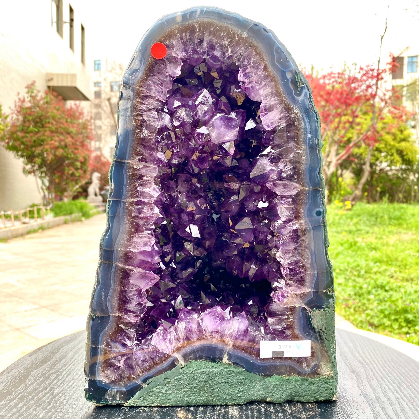 19.47LB  Natural Amethyst Crystal Church Cathedral Geode Mineral Specimen