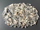 100 to 120pcs Lemurian Clear Quartz Crystal Points 1/2 LB Bulk Rough Specimen
