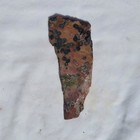 OBICULAR INDIAN RIVER JASPER "King Cobra" SLAB ~ 68 grams/ rough agate  rock cab — photo 6