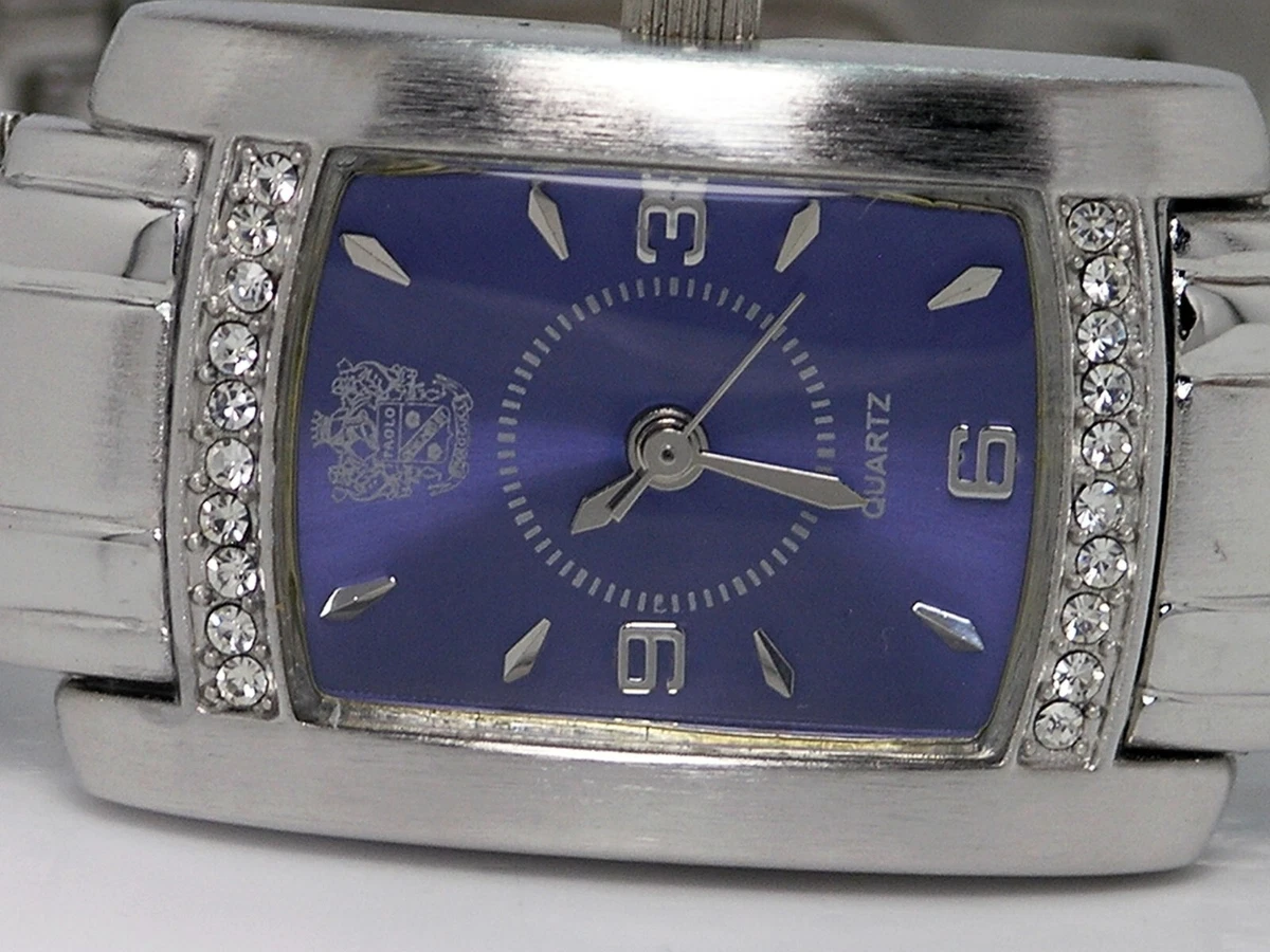 Paolo gucci stainless steel best sale watch