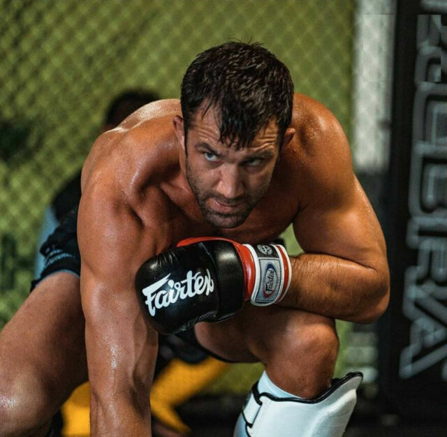 best mma grappling gloves