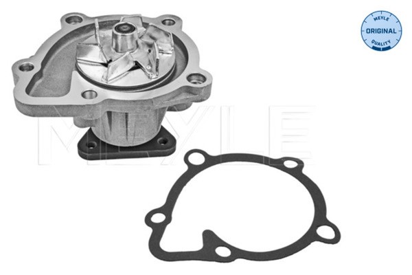 Meyle Wasserpumpe MotorküHlung 11-13 220 0025 FüR Fiat Freemont Peugeot 4007 16V-image