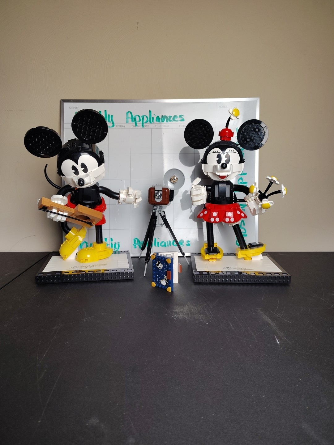 Picture 12 of 21