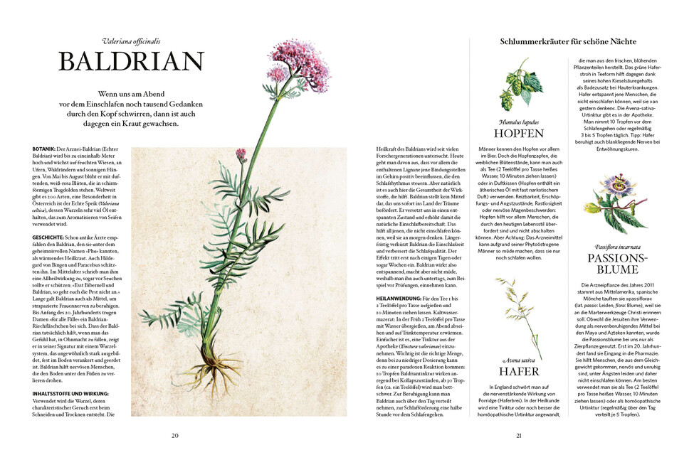 Thumbnail - Die Natur-apotheke Karin Buchart