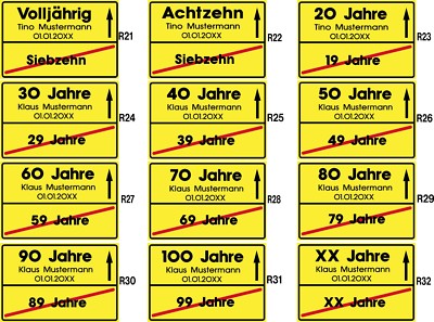 Schild Geburtstag - Ortsschild  stabile Platte 20x30 Event Geschenk  #R         