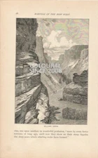 WILLIAMS CANON 1887 ILLUSTRATION PRINT