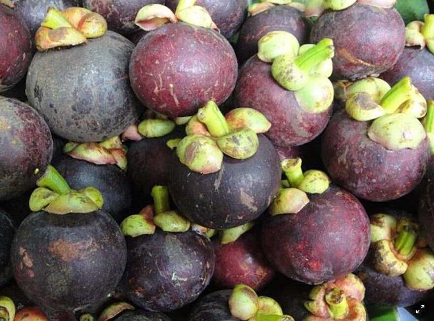 1 kg Mangosteen Freezed Dried Natural Thai Fruit Snack