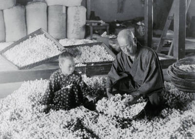 Man and child store silkworm cocoons in a silk factory in Japa- 1920 Old Photo