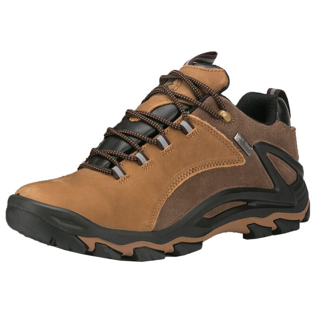 camel hiking shoes