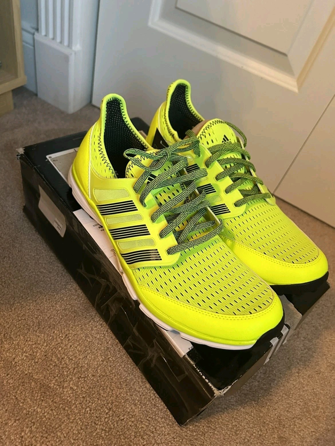 Spikeless Size 10