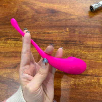 Wearable G-spot Vibrator Bullet Egg Clit Stimulator Women Sex Toys APP Remote