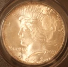 1923 Peace Dollar. PCGS MS-64. Starts at .99. NO RESERVE