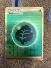 Pokemon Grass Energy XY-P Golden Present Campaign Black Star Promo NM!!