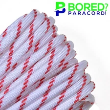 Lifeguard - 100 FT - 550 Paracord Rope 7 strand Parachute Cord
