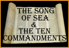 BEAUTIFUL TORAH BIBLE SCROLL MANUSCRIPT VELLUM 100 years old from Netherlands