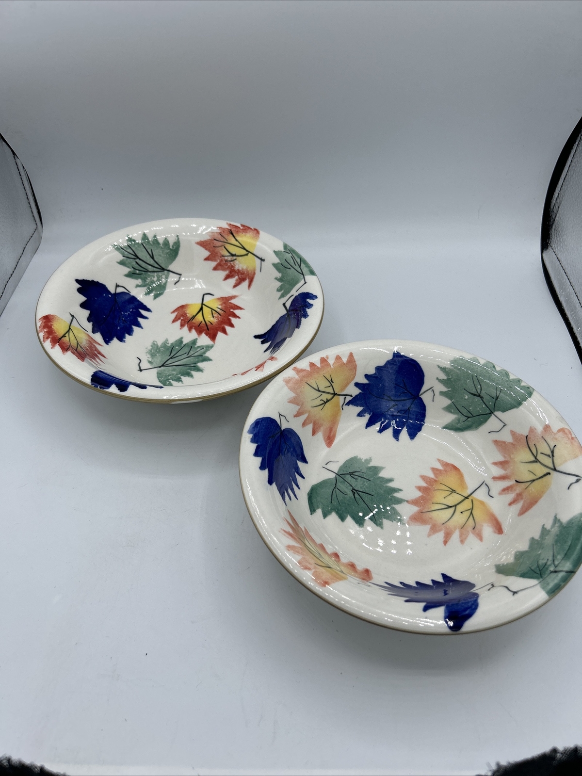 Autumn Garden Dinner set Of 2 Bowls Floral Plates Chefs Classics