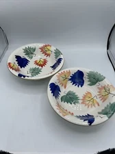 Autumn Garden Dinner set Of 2 Bowls Floral Plates Chefs Classics