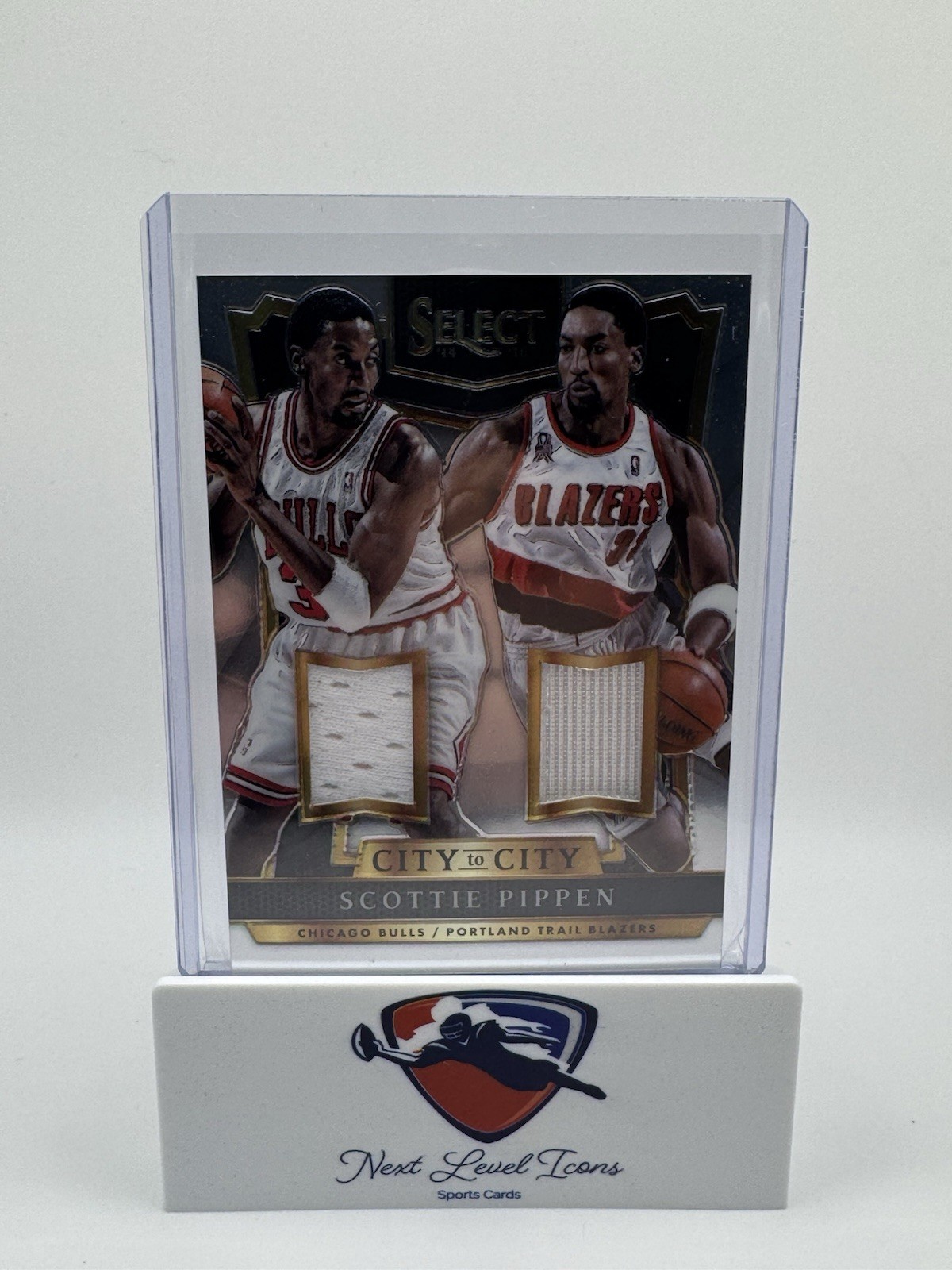 Panini Select 2014-15 Scottie Pippen City to City Jerseys MEM /199