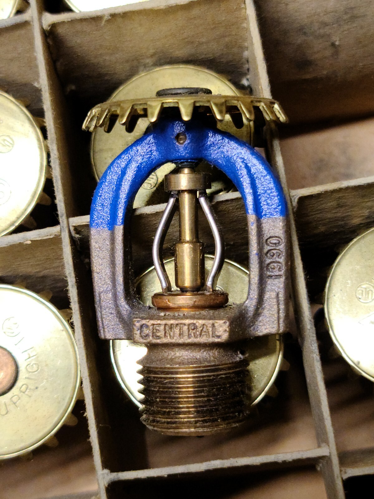 (4)CENTRAL 804A Sprinkler Heads UPRIGHT Blue 1R1496D13 eBay