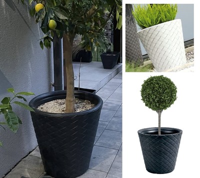Extra Large Patio Container Tree Polystone Egg Outdoor Pot D41cm X