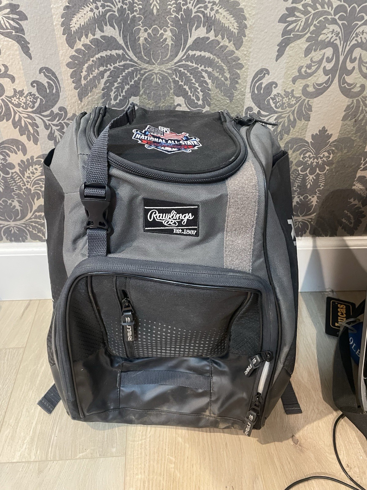 PG National All State Backpack - image 1